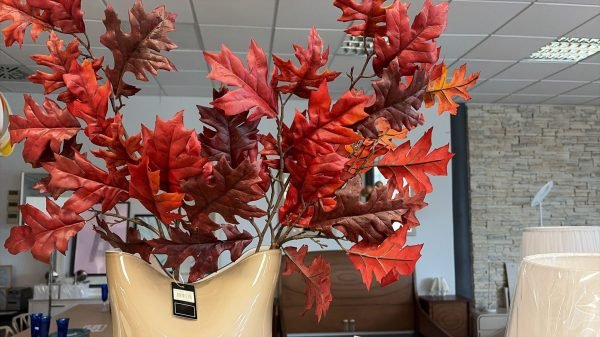 IT18DCS21-160 -- 000 (2868)