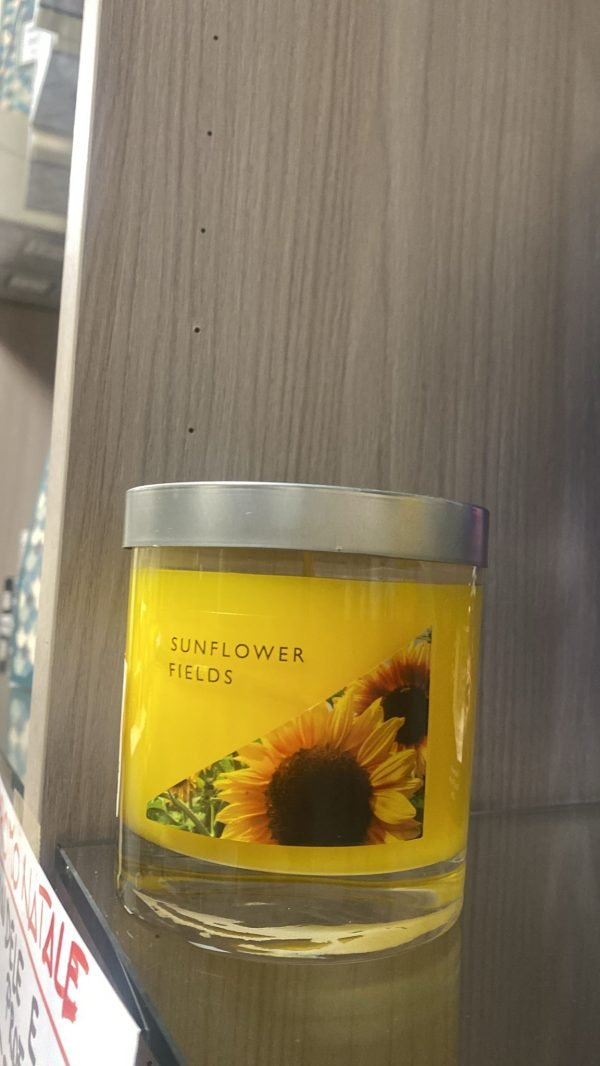 WLE3309 -- 000 (374)